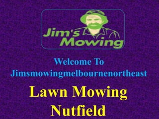 Welcome To
Jimsmowingmelbournenortheast
Lawn Mowing
Nutfield
 