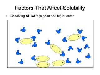 + -
- +
• Dissolving SUGAR (a polar solute) in water.
Factors That Affect Solubility
 