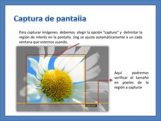 Para capturar imágenes debemos elegir la opción “capture” y delimitar la
región de interés en la pantalla. Jing se ajusta automáticamente a un cada
ventana que estemos usando.




                                                         Aquí       podremos
                                                         verificar el tamaño
                                                         en pixeles de la
                                                         región a capturar
 