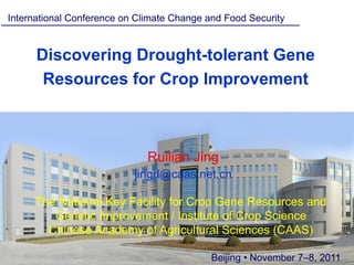 International Conference on Climate Change and Food Security


      Discovering Drought-tolerant Gene
       Resources for Crop Improvement



                              Ruilian Jing
                           jingrl@caas.net.cn

     The National Key Facility for Crop Gene Resources and
        Genetic Improvement / Institute of Crop Science
       Chinese Academy of Agricultural Sciences (CAAS)

                                            Beijing • November 7–8, 2011
 