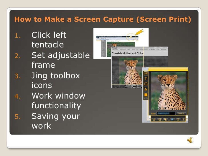 jing screen capture videos not working security jing screen capture videos not working security