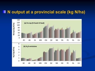 N output at a provincial scale (kg N/ha)
 