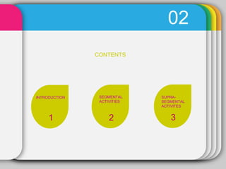 02
INTRODUCTION SEGMENTAL
ACTIVITIES
SUPRA-
SEGMENTAL
ACTIVITES
CONTENTS
1 2 3
 