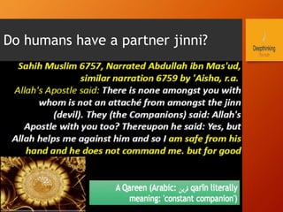Do humans have a partner jinni?
 
