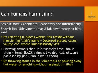 Can humans harm Jinn?
Yes but mostly accidental, carelessly and intentionally.
Shaykh Ibn ‘Uthaymeen (may Allah have mercy on him)
said
•  By urinating in places where Jinn reside without
mentioning Allah’s name – Deserted places, caves,
valleys etc. where humans hardly visit.
•  Harming animals that unfortunately have Jinn in
them – Some BLACK animals like dog, cat, etc..are
possesed by jinn (Jinn leave in them).
•  By throwing stones in the wilderness or pouring away
hot water or anything without saying bisimillah.
 