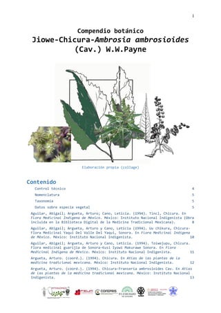 1
Compendio botánico
Jiowe-Chicura-Ambrosia ambrosioides
(Cav.) W.W.Payne
Elaboración propia (collage)
Contenido
Control técnico 4
Nomenclatura 5
Taxonomía 5
Datos sobre especie vegetal 5
Aguilar, Abigail; Argueta, Arturo; Cano, Leticia. (1994). Tincl, Chicura. En
Flora Medicinal Indígena de México. México: Instituto Nacional Indigenista (Obra
incluida en la Biblioteca Digital de la Medicina Tradicional Mexicana). 8
Aguilar, Abigail; Argueta, Arturo y Cano, Leticia (1994). Uu chikura, Chicura-
Flora Medicinal Yaqui Del Valle Del Yaqui, Sonora. En Flora Medicinal Indígena
de México. México: Instituto Nacional Indigenista. 10
Aguilar, Abigail; Argueta, Arturo y Cano, Leticia. (1994). Toiwejupu, Chicura.
Flora medicinal guarijia de Sonora-Kusi Iyowi Makurawe Sonora. En Flora
Medicinal Indígena de México. México: Instituto Nacional Indigenista. 11
Argueta, Arturo. (coord.). (1994). Chicura. En Atlas de las plantas de la
medicina tradicional mexicana. México: Instituto Nacional Indigenista. 12
Argueta, Arturo. (coord.). (1994). Chicura-Franseria ambrosioides Cav. En Atlas
de las plantas de la medicina tradicional mexicana. México: Instituto Nacional
Indigenista. 13
 