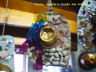 Forma, textura e função das folhas 