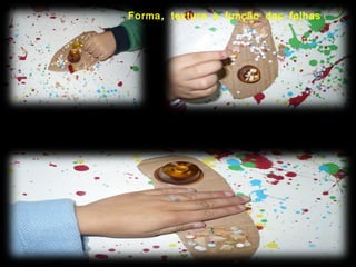 Forma, textura e função das folhas 