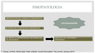 FISIOPATOLOGIA
OBSTRUCCION DEL CONDUCTO PANCREATICO
BLOQUEO DE LA SECRECION PANCREATICA
SE IMPIDE LA LIBERACION DE LOS GRANULOS
DE ZIMOGENOS
UNION DE LOS LISOSOMAS +
ZIMOGENOS.
7.- Georg, Lankish, Minoti Apte, Peter a Banks. Acute Pancreatitis. The Lancet, January 2015.
COLOCALIZACIÓN
 