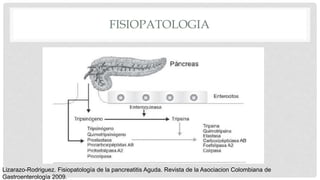 FISIOPATOLOGIA
Lizarazo-Rodriguez. Fisiopatología de la pancreatitis Aguda. Revista de la Asociacion Colombiana de
Gastroenterología 2009.
 