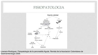 FISIOPATOLOGIA
Lizarazo-Rodriguez. Fisiopatología de la pancreatitis Aguda. Revista de la Asociacion Colombiana de
Gastroenterología 2009.
 