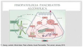 FISIOPATOLOGIA PANCREATITIS
ALCOHOLICA
7.- Georg, Lankish, Minoti Apte, Peter a Banks. Acute Pancreatitis. The Lancet, January 2015.
 