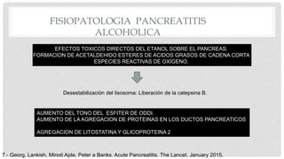 FISIOPATOLOGIA PANCREATITIS
ALCOHOLICA
EFECTOS TOXICOS DIRECTOS DEL ETANOL SOBRE EL PANCREAS:
FORMACION DE ACETALDEHIDO ESTERES DE ACIDOS GRASOS DE CADENA CORTA
ESPECIES REACTIVAS DE OXÍGENO.
Desestabilización del lisosoma: Liberación de la catepsina B.
AUMENTO DEL TONO DEL ESFITER DE ODDI.
AUMENTO DE LA AGREGACION DE PROTEINAS EN LOS DUCTOS PANCREATICOS
AGREGACION DE LITOSTATINA Y GLICOPROTEINA 2
7.- Georg, Lankish, Minoti Apte, Peter a Banks. Acute Pancreatitis. The Lancet, January 2015.
 