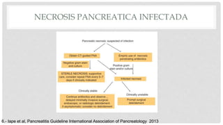 NECROSIS PANCREATICA INFECTADA
6.- Iape et al, Pancreatitis Guideline International Association of Pancreatology 2013
 