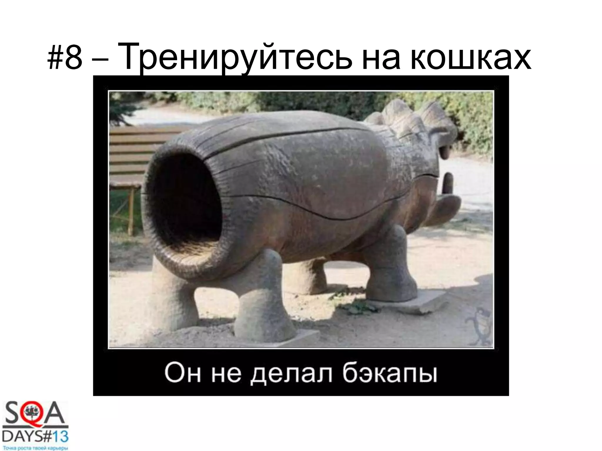Тренируйтесь на кошках