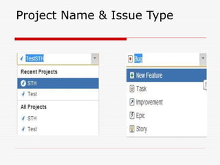 Project Name & Issue Type
 