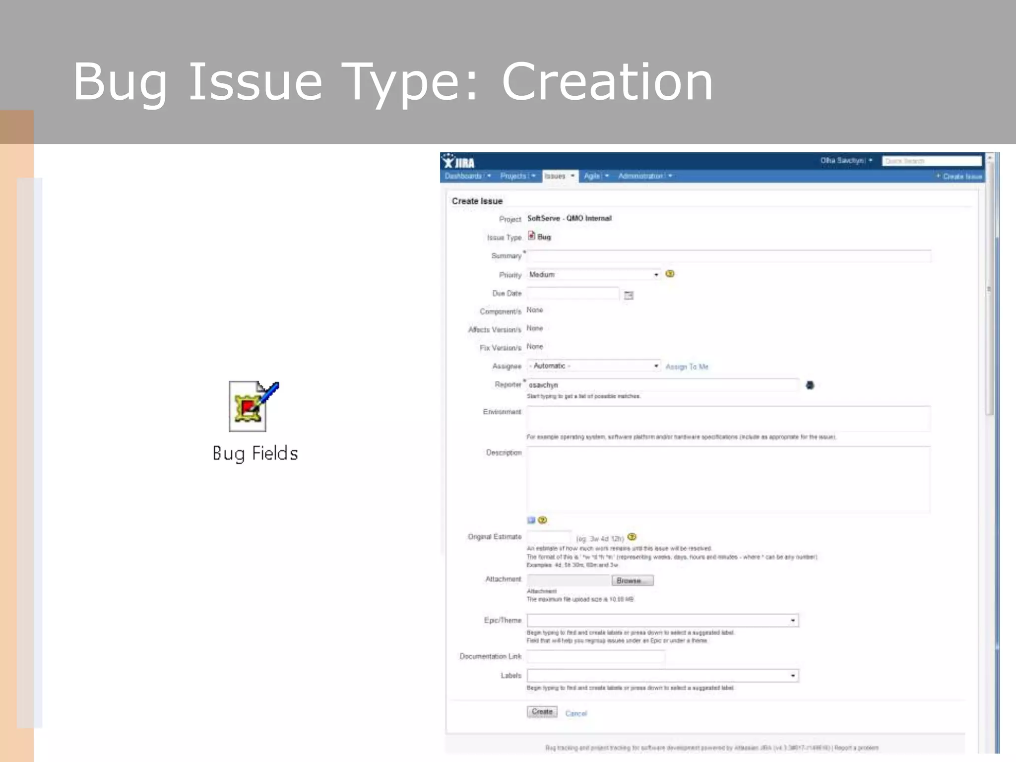 Bug Issue Type: Creation




                           26
 