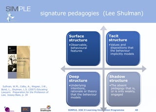 signature pedagogies  (Lee Shulman) Sullivan, W.M., Colby, A., Wegner, J.W., Bond, L., Shulman, L.S. (2007)  Educating Lawyers.  Preparation for the Profession of Law,  Jossey-Bass, p. 24 