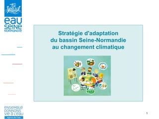 1
Stratégie d'adaptation
du bassin Seine-Normandie
au changement climatique
 