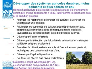 25
Agroforesterie,
Chambre d'Agriculture
de l'Eure
 