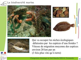 34Changement climatique en Sud-Manche DREAL Normandie
Qui va occuper les niches écologiques
délaissées par les espèces d’eau froides ?
Vitesse de migration moyenne des espèces
environ 20 km par an
(3 fois plus vite qu’à terre)
La biodiversité marine
 