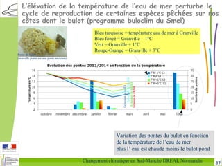 37Changement climatique en Sud-Manche DREAL Normandie
L’élévation de la température de l’eau de mer perturbe le
cycle de reproduction de certaines espèces pêchées sur nos
côtes dont le bulot (programme buloclim du Smel)
Variation des pontes du bulot en fonction
de la température de l’eau de mer
plus l’ eau est chaude moins le bulot pond
Bleu turquoise = température eau de mer à Granville
Bleu foncé = Granville – 1°C
Vert = Granville + 1°C
Rouge-Orange = Granville + 3°C
Ponte de bulot
(nouvelle ponte sur une ponte ancienne)
 