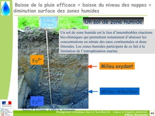 44Changement climatique dans le Sud-Manche : enjeux et impacts potentiels
DREAL Normandie
Baisse de la pluie efficace = baisse du niveau des nappes =
diminution surface des zones humides
Fe2+
Fe3+
Milieu oxydant
Milieu réducteur
Un sol de zone humide
Source P. Le Gouée et DREAL Normandie
Un sol de zone humide est le lieu d’innombrables réactions
bio-chimiques qui permettent notamment d’abaisser les
concentrations en nitrate des eaux continentales et donc
littorales. Les zones humides participent de ce fait à la
limitation de l’eutrophisation marine.
 