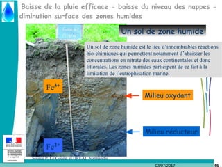 03/07/2017
Baisse de la pluie efficace = baisse du niveau des nappes =
diminution surface des zones humides
Fe2+
Fe3+
Milieu oxydant
Milieu réducteur
Un sol de zone humide
Source P. Le Gouée et DREAL Normandie
Un sol de zone humide est le lieu d’innombrables réactions
bio-chimiques qui permettent notamment d’abaisser les
concentrations en nitrate des eaux continentales et donc
littorales. Les zones humides participent de ce fait à la
limitation de l’eutrophisation marine.
 