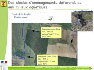 47Changement climatique dans le Sud-Manche : enjeux et impacts potentiels
DREAL Normandie
Des siècles d’aménagements défavorables
aux milieux aquatiques
Longueur cours d’eau
hier : 588 m
aujourd’hui : 313 m
perte 40 %
Longueur cours d’eau
hier : 1327 m
aujourd’hui : 918 m
perte 30 %
drain
.Essay
Bassin de la Senelle
(Sarthe amont)
 