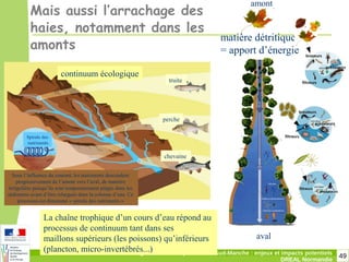 49Changement climatique dans le Sud-Manche : enjeux et impacts potentiels
DREAL Normandie
Mais aussi l’arrachage des
haies, notamment dans les
amonts
chevaine
perche
truite
continuum écologique
amont
matière détritique
= apport d’énergie
Spirale des
nutriments
Sous l’influence du courant, les nutriments descendent
progressivement de l’amont vers l’aval, de manière
irrégulière puisqu’ils sont temporairement piégés dans les
sédiments avant d’être relargués dans la colonne d’eau. Ce
processus est dénommé « spirale des nutriments »
La chaîne trophique d’un cours d’eau répond au
processus de continuum tant dans ses
maillons supérieurs (les poissons) qu’inférieurs
(plancton, micro-invertébrés...)
aval
 