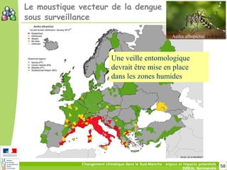 58Changement climatique dans le Sud-Manche : enjeux et impacts potentiels
DREAL Normandie
Aedes albopictus (wikipédia)
Le moustique vecteur de la dengue
sous surveillance
Une veille entomologique
devrait être mise en place
dans les zones humides
 