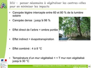 60Changement climatique dans le Sud-Manche : enjeux et impacts potentiels
DREAL Normandie
ICU : penser néanmoins à végétaliser les centres-villes
pour en minimiser les impacts
➢ Canopée légère intercepte entre 60 et 80 % de la lumière
solaire
➢ Canopée dense : jusqu’à 98 %
➢ Effet direct de l’arbre = ombre portée
➢ Effet indirect = évapotranspiration
➢ Effet combiné : 4 à 8 °C
➢ Température d’un mur végétalisé < < T mur non végétalisé
jusqu’à 30 °C
 