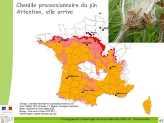 63Changement climatique en Sud-Manche DREAL Normandie
Chenille processionnaire du pin
Attention, elle arrive
 