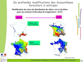 64Changement climatique en Sud-Manche DREAL Normandie
Modification des aires de distribution du chêne vert et du hêtre
pour un scénario d’élévation de température +2,5o
C
actuel
chêne vert
Aire de distribution
hêtre
Aire de distribution
2100
D’après Inra Nancy
De profondes modifications des écosystèmes
forestiers à anticiper
 