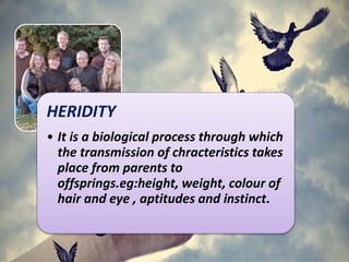 HERIDITY
• It is a biological process through which
the transmission of chracteristics takes
place from parents to
offsprings.eg:height, weight, colour of
hair and eye , aptitudes and instinct.
 