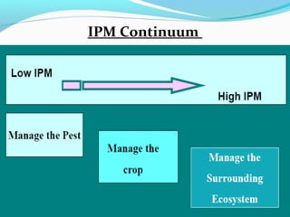 IPM Continuum
 