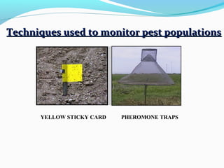 Techniques used to monitor pest populations




      YELLOW STICKY CARD   PHEROMONE TRAPS
 