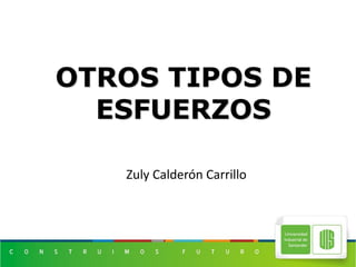 Zuly Calderón Carrillo
OTROS TIPOS DE
ESFUERZOS
 