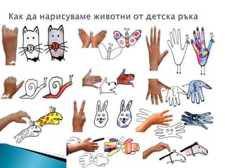 Животински свят