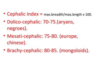 Cephalic Index 91 Example identification of Race- forensic medicine | PPT