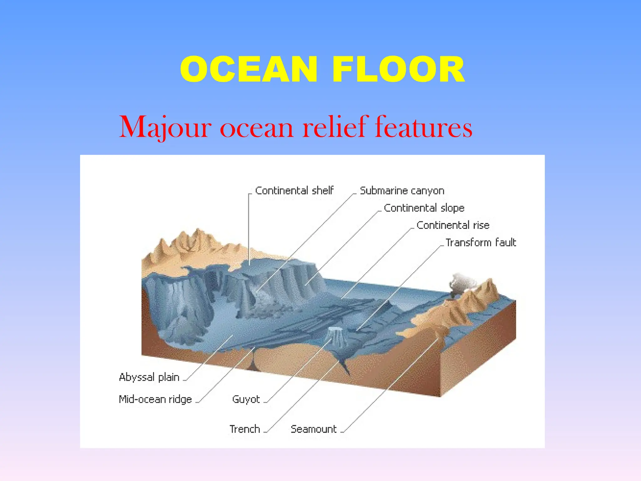 OCEAN FLOOR
Majour ocean relief features
 