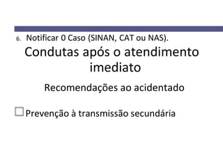 6. Notificar 0 Caso (SINAN, CAT ou NAS).
Condutas após o atendimento
imediato
Recomendações ao acidentado
Prevenção à transmissão secundária
 