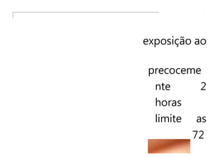 exposição ao
precoceme
nte 2
horas
limite as
72
 