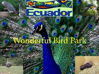 Wonderful Bird Park 