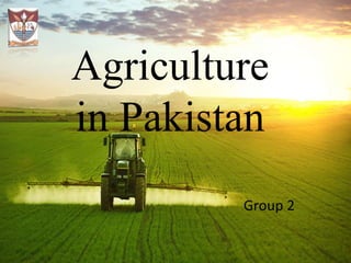 Agriculture
in Pakistan
Group 2
 