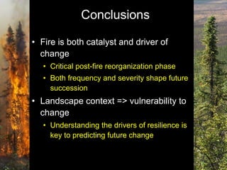 Fire and Forest Dynamics in Northern Boreal Forests | PDF