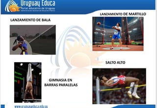 GIMNASIA EN
BARRAS PARALELAS
SALTO ALTO
LANZAMIENTO DE BALA
LANZAMIENTO DE MARTILLO
 
