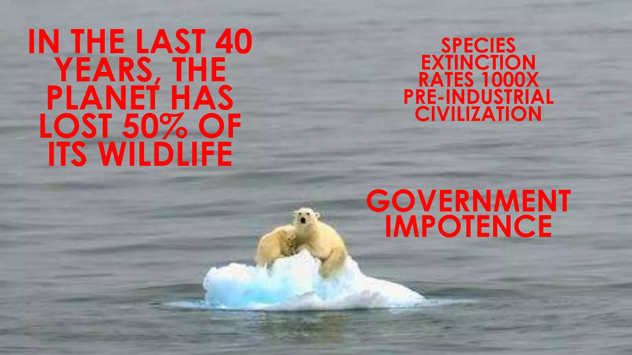 IN THE LAST 40
YEARS, THE
PLANET HAS
LOST 50% OF
ITS WILDLIFE
SPECIES
EXTINCTION
RATES 1000X
PRE-INDUSTRIAL
CIVILIZATION
GOVERNMENT
IMPOTENCE
 