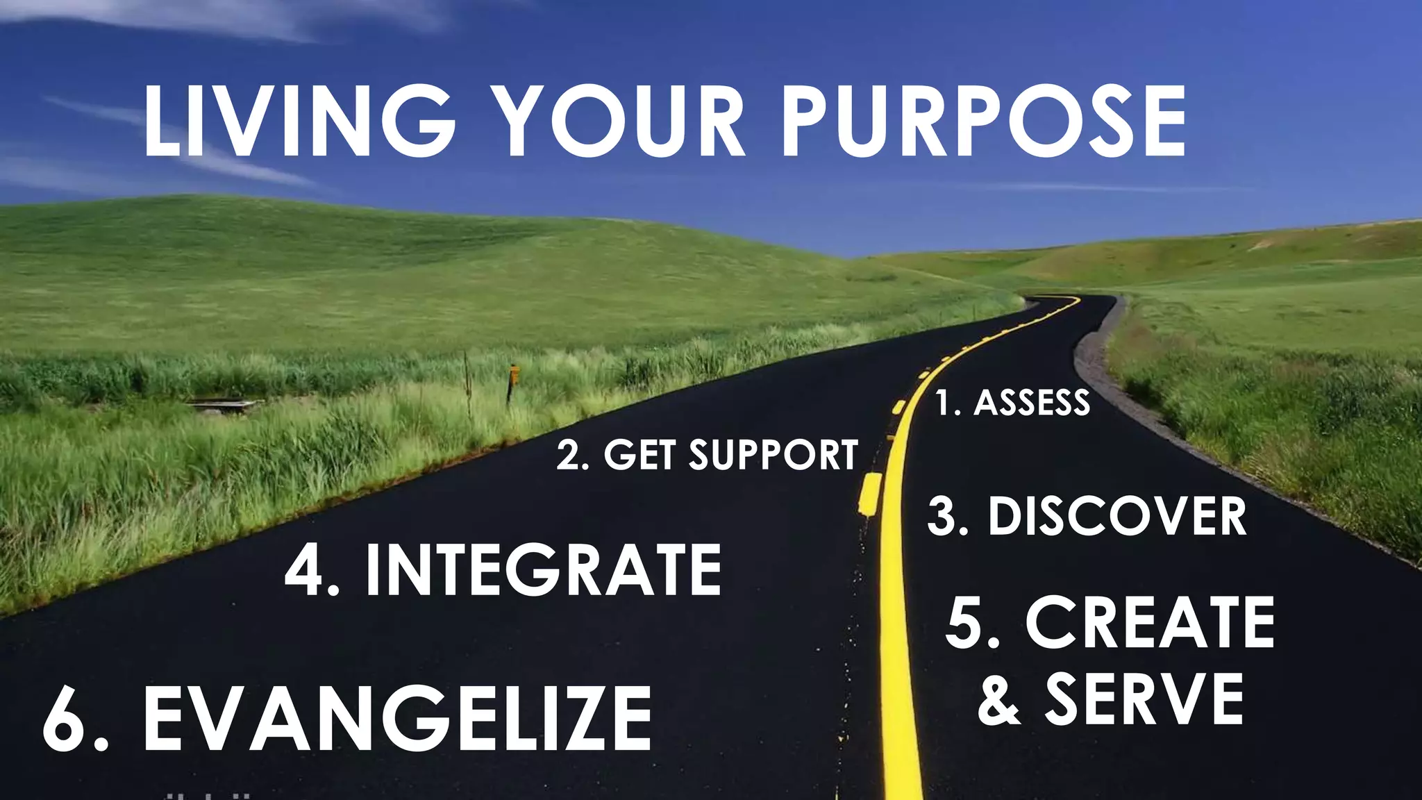 LIVING YOUR PURPOSE
1. ASSESS
2. GET SUPPORT
3. DISCOVER
4. INTEGRATE
5. CREATE
& SERVE6. EVANGELIZE
 