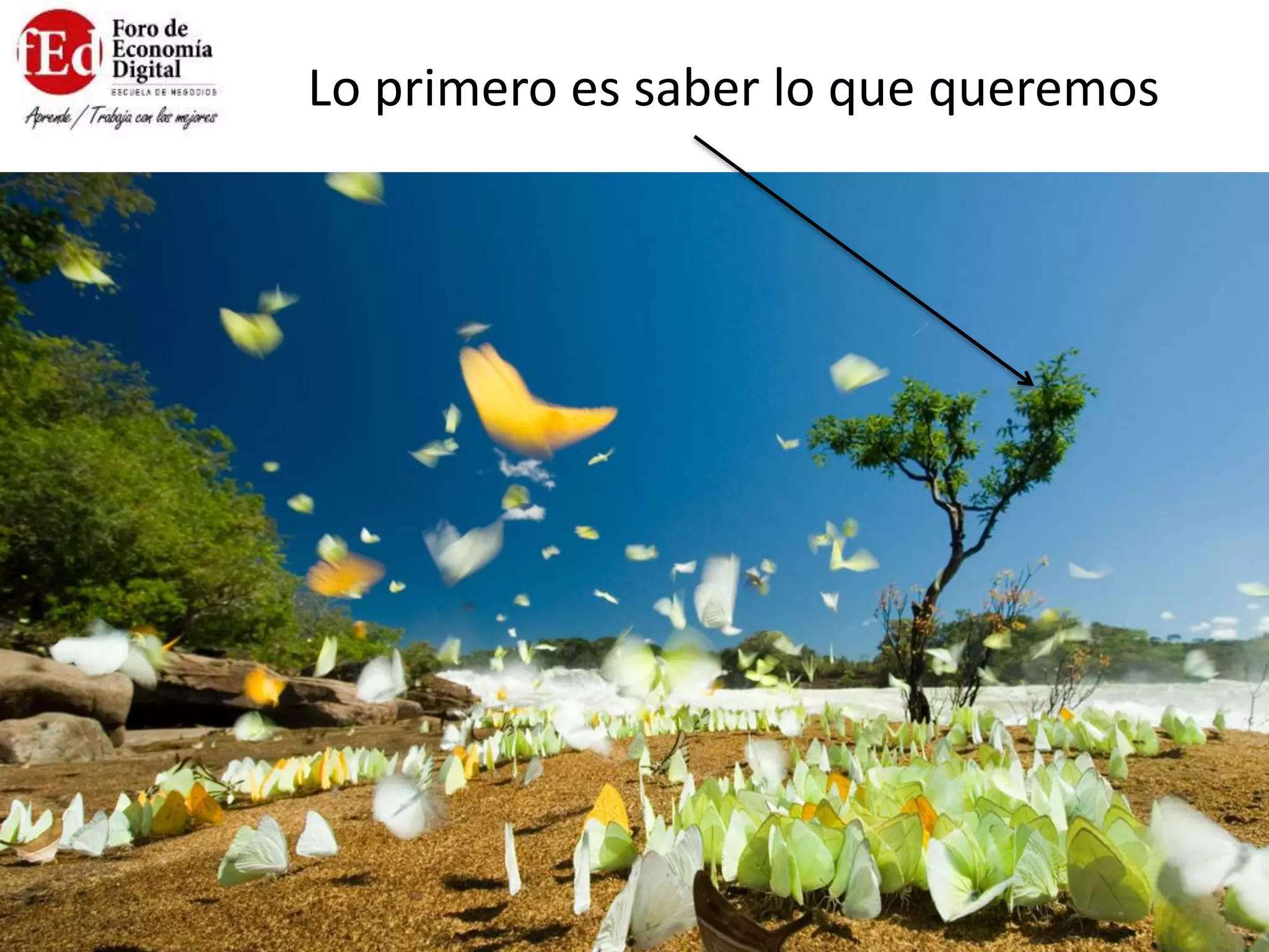 Lo primero es saber lo que queremos
 